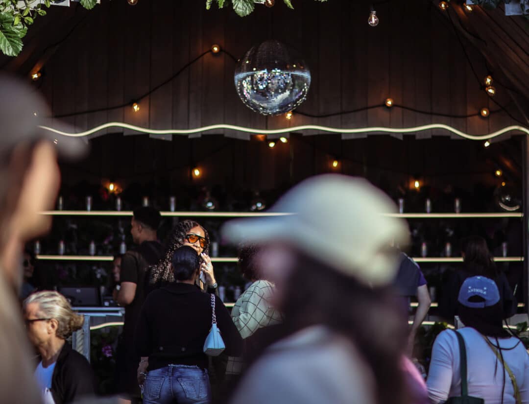 Briska Rosendal Garden Party