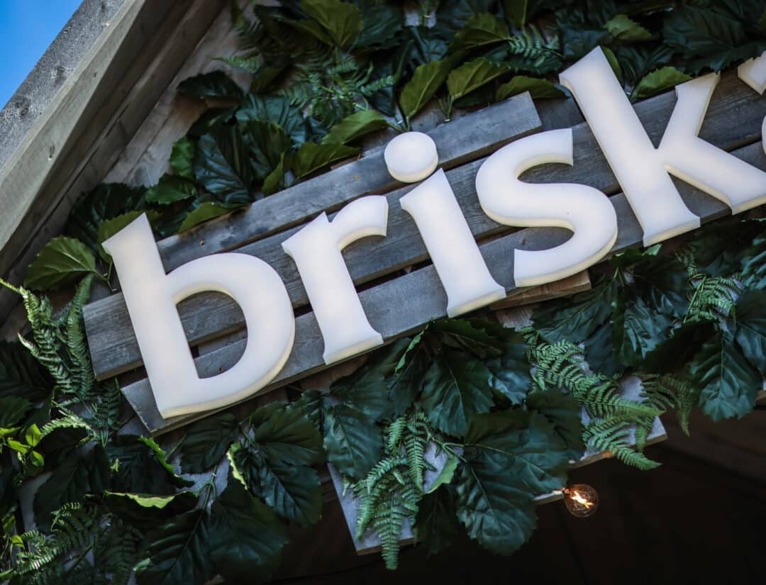Briska Rosendal Garden Party