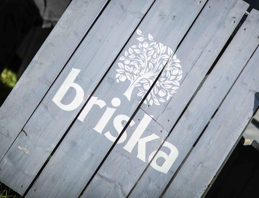 Briska Rosendal Garden Party