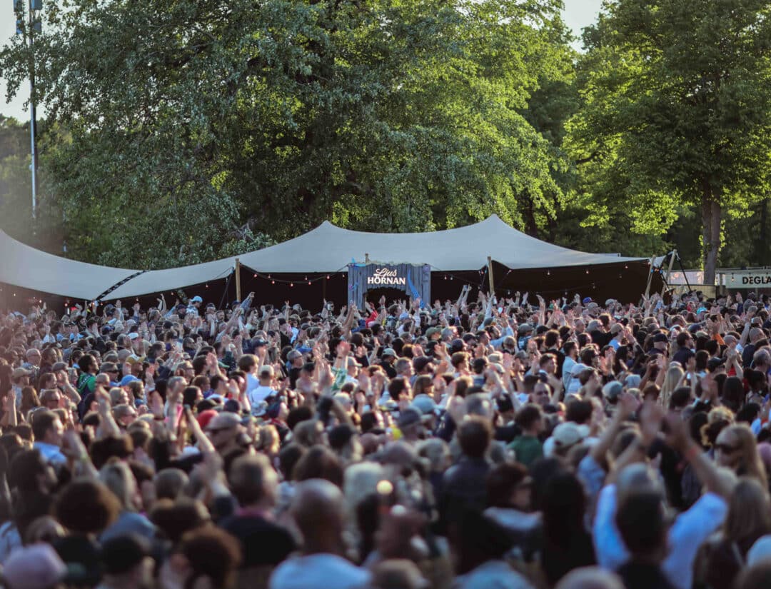 norrlands ljus Rosendal Garden Party